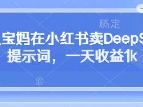全职宝妈在小红书卖DeepSeek提示词，一天收益1k