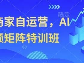 实体商家自运营，AI短视频矩阵特训班
