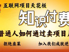 互联网项目天花板，知付付费项目，普通人如何通过卖项目月入十个，拒绝韭菜【揭秘】