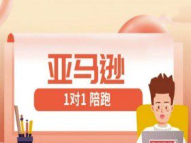亚马逊1对1陪跑课(FBA/FBM精铺)跨境亚马逊教程