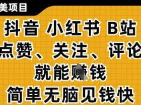 小而美的项目，抖音小红书B站视频点赞、关注、评论就能挣钱，简单无脑立见收益，妥妥的零撸项目【揭秘】