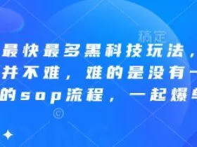 拼多多最快最多黑科技玩法，拼多多起量并不难，难的是没有一套完整的sop流程，一起爆单!