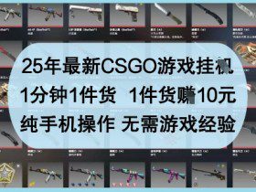 25年最新CSGO游戏挂G，1分钟1件货，1件货挣10元，纯手机操作，无需游戏经验【揭秘】