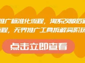 淘系运营推广标准化流程，​淘系改版后新品布局全流程，无界推广工具拆解高阶玩法