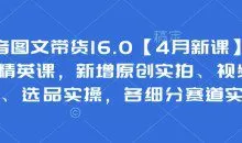 抖音图文带货16.0基础+精英课，新增原创实拍、视频混剪、选品实操，各细分赛道实操