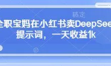 全职小白在小红书卖DeepSeek提示词，一天收益1k
