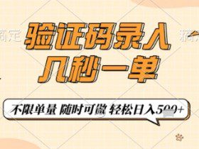 验证码录入，几秒钟一单，只需一部手机即可开始，随时随地可做，每天5张+【揭秘】