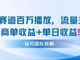 中老年赛道百万播放+流量主收益+定制收益，单日收益9张