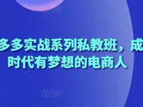 2025拼多多实战系列私教班，成就这个时代有梦想的电商人