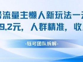 视频号流量主懒人新玩法，一天收益1k，人群精准收益高