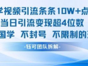 国学视频引流条条10W+点赞当日引流变现超4位数