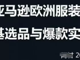 跨境电商选品案例24-25年，聚焦跨境电商选品策略与运营优化，助力卖家挖掘蓝海市场