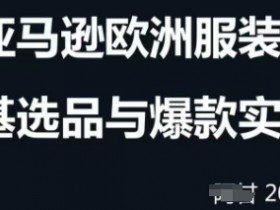 跨境电商选品案例24-25年，聚焦跨境电商选品策略与运营优化，助力卖家挖掘蓝海市场