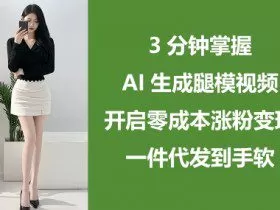 3分钟掌握AI生成腿模视频，开启零成本涨粉变现，一件代发到手软
