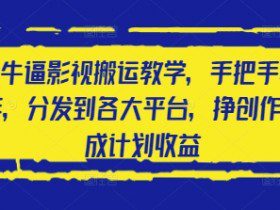 2025最牛逼影视搬运教学，手把手教你操作，分发到各大平台，挣创作者分成计划收益