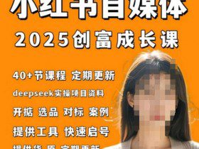 小红书电商自媒体创富课2.0版，实战打卡笔记训练营