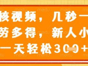 视频审核员，几秒一单，不限时间，不限地点，多做多得，新人小白一天轻松几张+【揭秘】