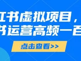 小红书虚拟项目，小红书运营高频一百问【文档】