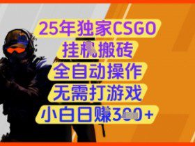 25年独家CSGO挂G搬砖，全自动操作，无需打游戏，小白日入3张+【揭秘】