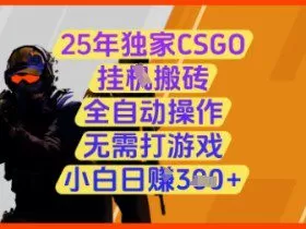 25年独家CSGO挂G搬砖，全自动操作，无需打游戏，小白日入3张+【揭秘】