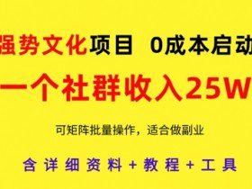 强势文化项目，一个社群收入25个W，0成本启动，可矩阵批量操作，原创详细实操教程