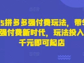 2025拼多多强付费玩法，带领全网走强付费新时代，玩法投入不超千元即可起店