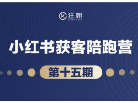 抖音小红书视频号短视频带货与直播变现(11-16期),打造爆款内容，实现高效变现（更新）