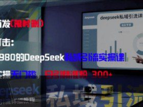 精准打击：价值3980的DeepSeek私域引流实操课，小白实操无门槛，日引精准粉300+