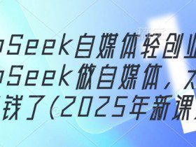 DeepSeek自媒体轻创业，用DeepSeek做自媒体，太容易挣钱了(2025年新课)