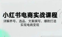 小红书从0-1实操课2025养号、选品、文案撰写、爆款打造实现电商变现