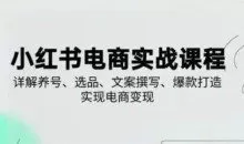 小红书从0-1实操课2025养号、选品、文案撰写、爆款打造实现电商变现