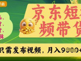 京东短视频带货，开启零门槛躺Z新时代【揭秘】