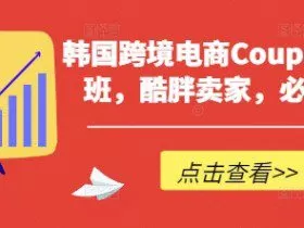 韩国跨境电商Coupang高阶班，酷胖卖家，必学课程