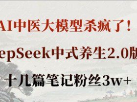 AI中医大模型杀疯了！DeepSeek中式养生2.0版本，十几篇笔记粉丝3w+