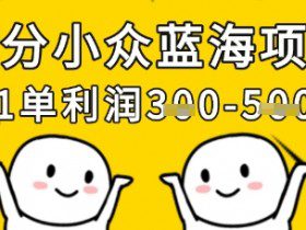 细分小众蓝海项目，一单利润3张，每月收入稳定过1w+