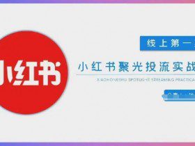 小红书聚光陪跑第一期，教你从0到1玩转小红书聚光投流，搭建小红书付费投流团队，更快的见到效果
