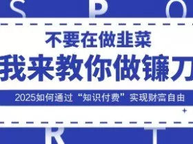 韭菜生涯终结者，我来教你做镰刀，2025如何通过“知识付费”实现财F自由【揭秘】