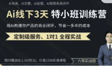 俗人六哥AI实操培训第20-21期线下，0基础保姆级教程，3月最新整理，企业获客、降本增效、打造超级个体
