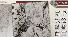 红鱿鱼精致黑白手绘插画班2025【画质高清只有视频】