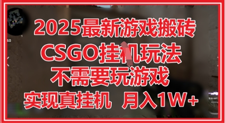 2025最新游戏搬砖,CSGO挂G,不需要玩游戏,实现真挂G,月入1W+【揭秘】