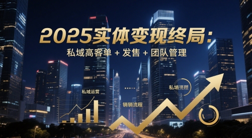 2025实体变现终局:私域高客单+发售+团队管理