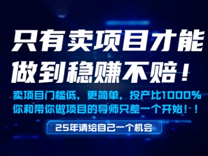 只有卖项目才能做到稳挣不赔,门槛低,更简单,你也可以年入百个W【揭秘】
