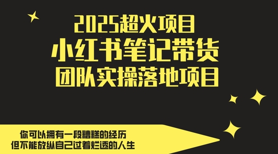 2025超火项目,小红书笔记带货团队实操落地项目,轻松日入5张