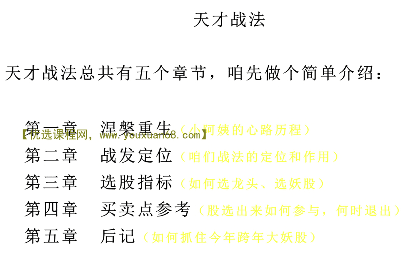 天才小阿姨，天才战法 1文档