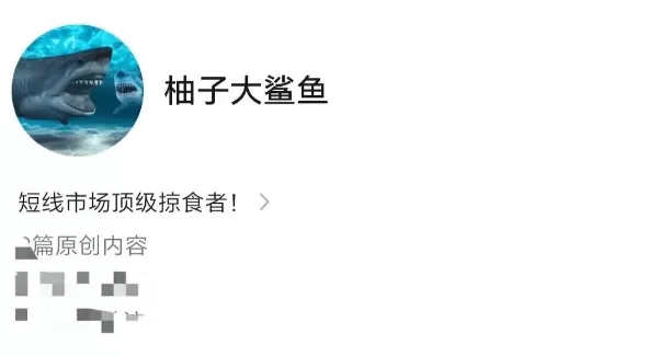 柚子大鲨鱼炒股直播课程