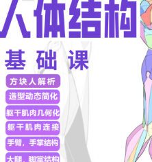 大木人体结构基础课第13期【画质高清有课件】