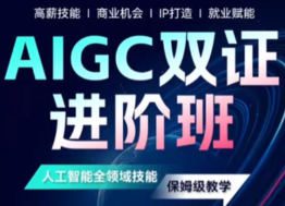 野菩萨AIGC双证进阶班2024【画质高清只有视频】