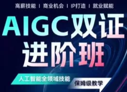 野菩萨AIGC双证进阶班2024【画质高清只有视频】