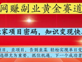 网创副业黄全赛道，掌握独家项目密码，知识变现快人一步，告别韭菜轻松实现单日变现1k+【揭秘】