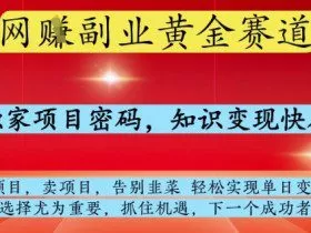 网创副业黄全赛道，掌握独家项目密码，知识变现快人一步，告别韭菜轻松实现单日变现1k+【揭秘】